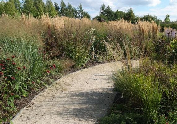 6270 ecolat band 14 cm grijs 81203