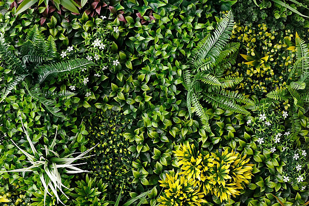 Kunsthaag Germa Mix 100x100 cm