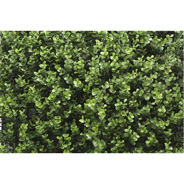 Kunsthaag Sylvana Buxus 100x100 cm