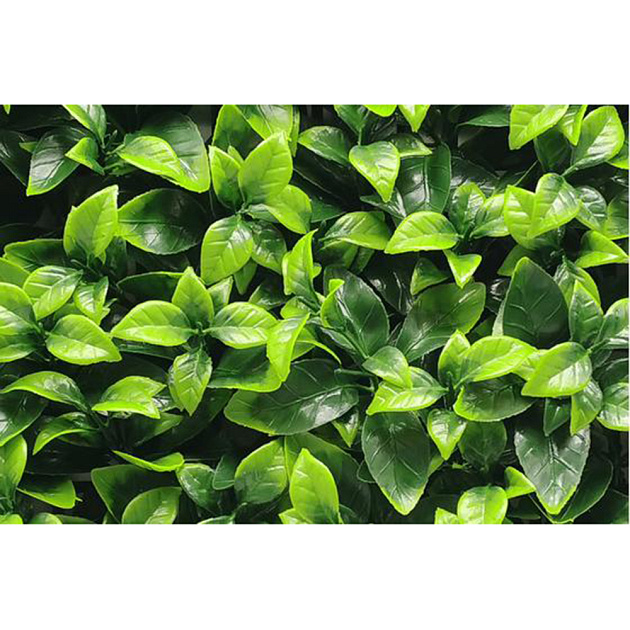 Kunsthaag Jessie Green 100x100 cm