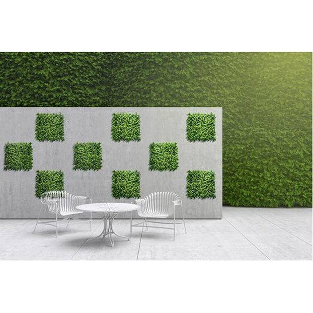 Kunsthaag Jessie Green 100x100 cm