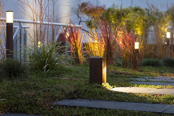 ACE Corten