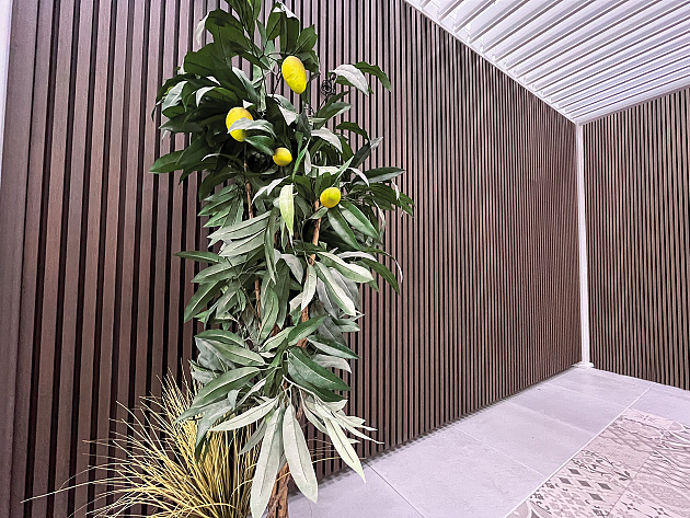 NeoFacade Wandbekleding en Gevelbekleding Rhombus Profiel 2,6x21,7x230 cm Rivièra