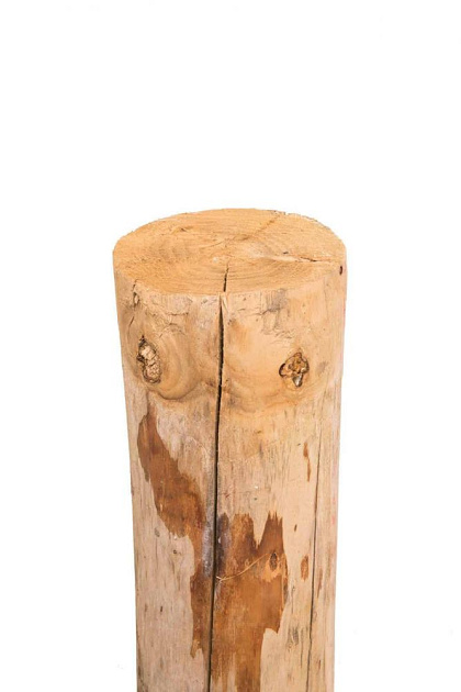 Actie Kastanjepaal geschild en gepunt Ø14-16x300 cm