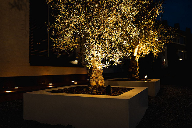 Outdoorpro+ Grondspot Cepos Ring Zwart