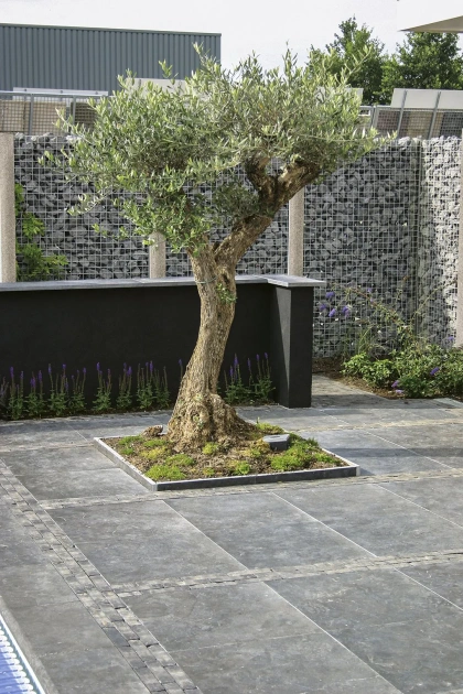 Blue Moon Honed Anticato 100x100x3 cm