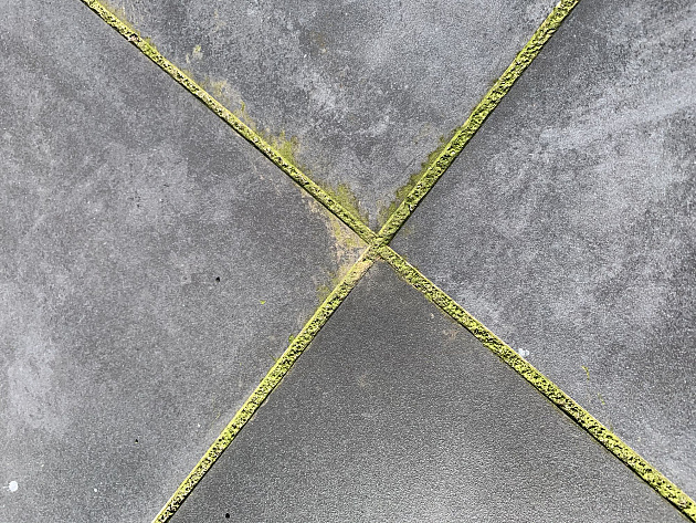 WS Green Clean 1 liter