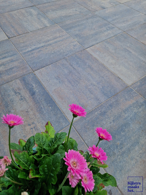 Patio Square 60x60x4 cm Tricolore