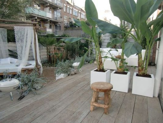 Plantenbak Carrez met bodem aluminium 50x50x50 cm