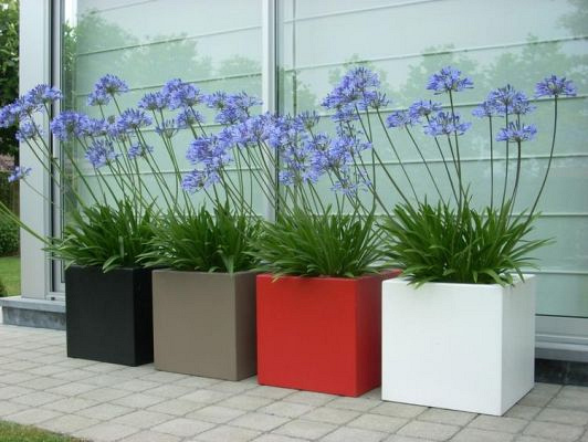Plantenbak Carrez met bodem aluminium 50x50x50 cm