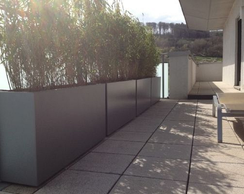 Plantenbak Carrez met bodem aluminium 250x40x80 cm