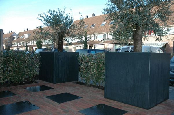 Plantenbak Carrez met bodem polyester 100x100x80 cm