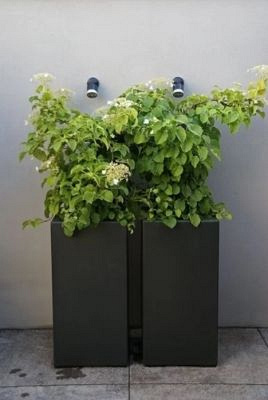 Plantenbak Carrez met bodem polyester 50x50x100 cm