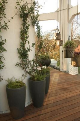 Plantenbak Canna met bodem polyester Ø72x84 cm