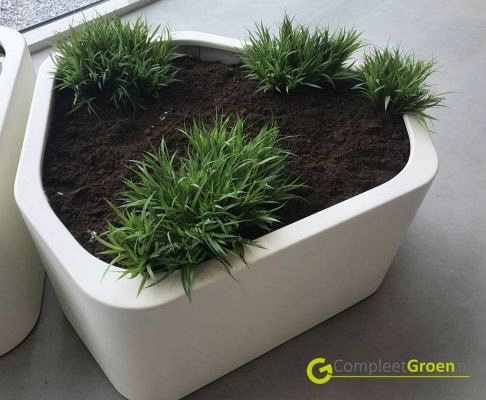 Plantenbak Shape polyester 130x126x60 cm