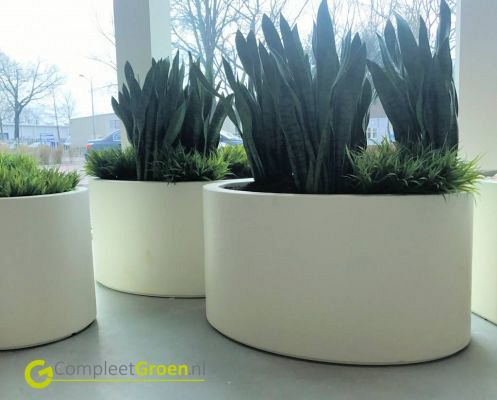 Plantenbak Ellipse met bodem polyester 200x120x60 cm