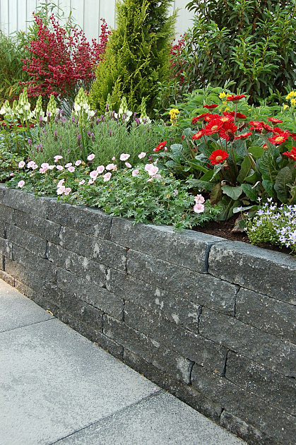 Splitton Palissaden 50x12x12 cm Mount Everest