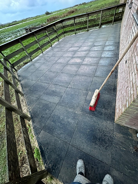 Budget Terrastegel 60x60x4 cm Grijs/Zwart