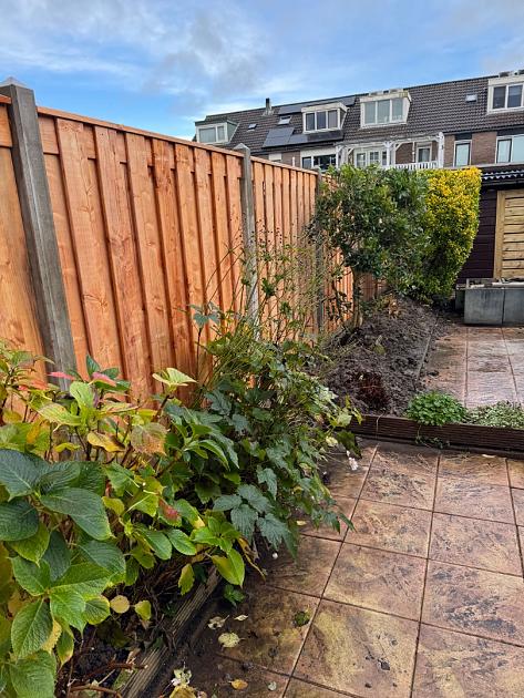 JWOODS Tuinscherm Red Wood 19-planks 180x180 cm Geschaafd