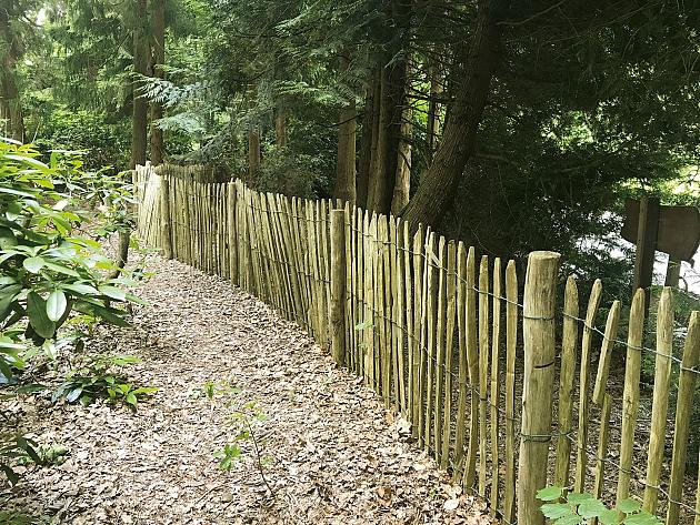 Kastanjepaal geschild en dun gepunt Ø10/12x300 cm