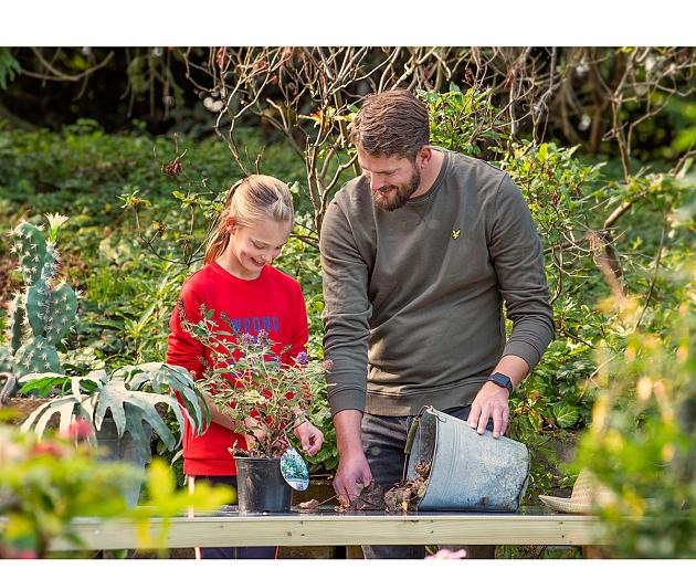 Werkbank XXL 180x50x80 cm geïmpregneerd, geschaafd vuren