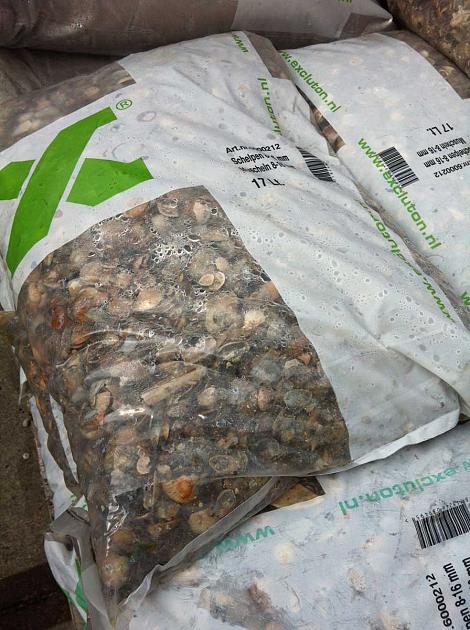 Schelpen 8-16 mm per zak