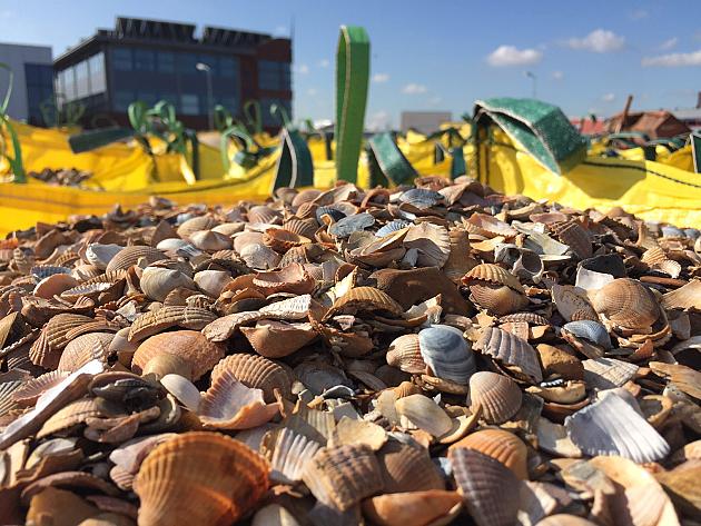 Schelpen 8-16 mm incl. Mini Bigbag (0,5 m³)