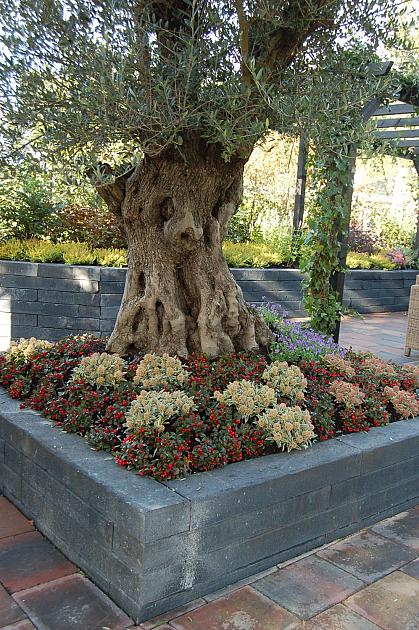 Betonbiels 120x20x12 cm Antraciet