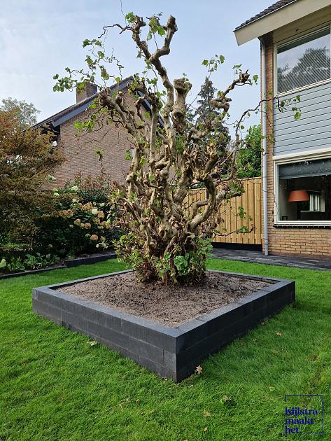 Linia Palissade 60x10x10 cm Strak Antraciet