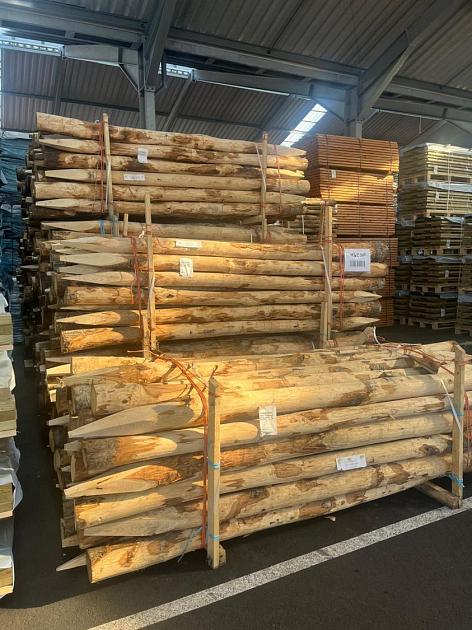 Actie Kastanjepaal geschild en gepunt Ø14-16x300 cm