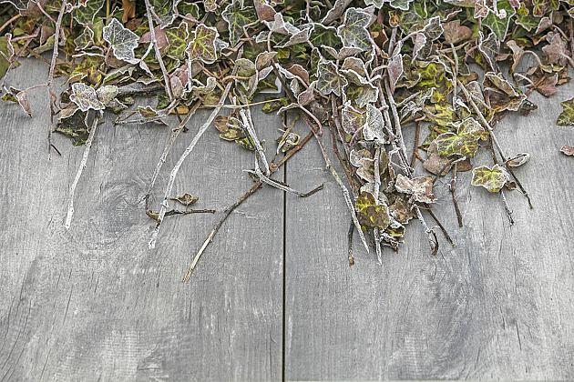 GeoCeramica 40x80x4 cm Timber Grigio