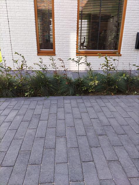 Longstone Opritsteen 10,5x31,5x7 cm Antraciet