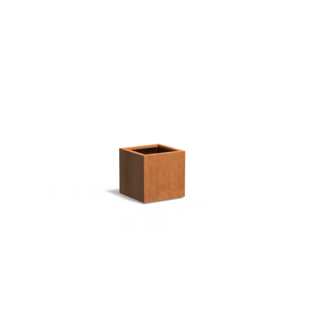 Plantenbak Carrez met bodem cortenstaal 50x50x50 cm