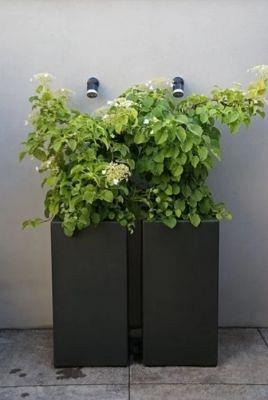 Plantenbak Carrez met bodem polyester 40x40x100 cm