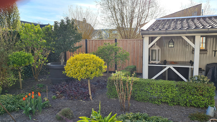 16194550866452746501176535995208