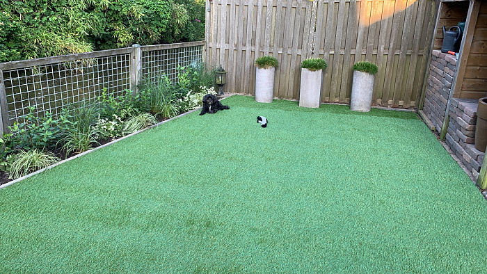 36290139 b343 4364 9207 57653cb30f67