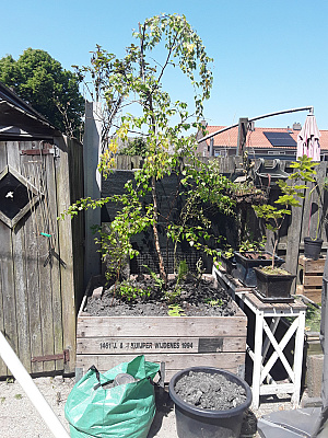 16860535518768982189242847617362