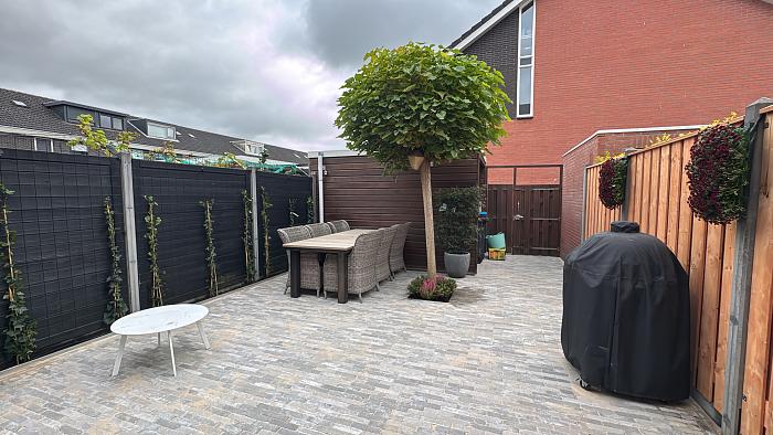 8488e5d9 2eb4 4e96 94eb 5d8a7721f589