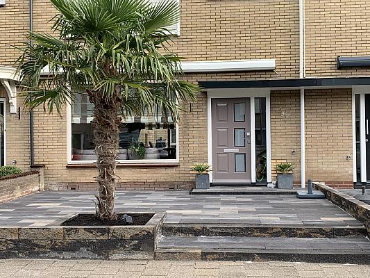 c0f39380 51cc 40a4 b3bf 0338b2744fd9