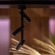 AIM CEILING TRIPLE