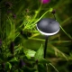 SWAY Black