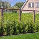 Eco gaastrellis met maas 7,5x7,5 cm, in grenen raamwerk 4,5x4,5 cm, 180x180 cm.