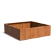 Plantenbak Carrez met bodem cortenstaal 200x200x60 cm