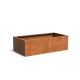 Plantenbak Carrez met bodem cortenstaal 200x100x60 cm