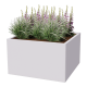 Stalen plantenbak - Vierkant - 100 x 100 x 80 cm - RAL9010 mat (wit) - Zonder bodemplaat