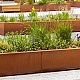 Keerwand recht met brede bovenrand Cortenstaal 3 mm 200x40x60 cm