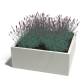Stalen plantenbak - Vierkant - 100 x 100 x 100 cm - RAL9010 mat (wit) - Zonder bodemplaat