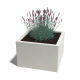 Stalen plantenbak - Vierkant - 60 x 60 x 60 cm - RAL9010 mat (wit) - Zonder bodemplaat