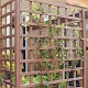 Hardhouten Trellis 180x180 cm Geschaafd, recht