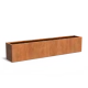 Plantenbak Carrez met bodem cortenstaal 300x50x60 cm